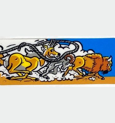Cactus Canyon Decal - 31-3226-9